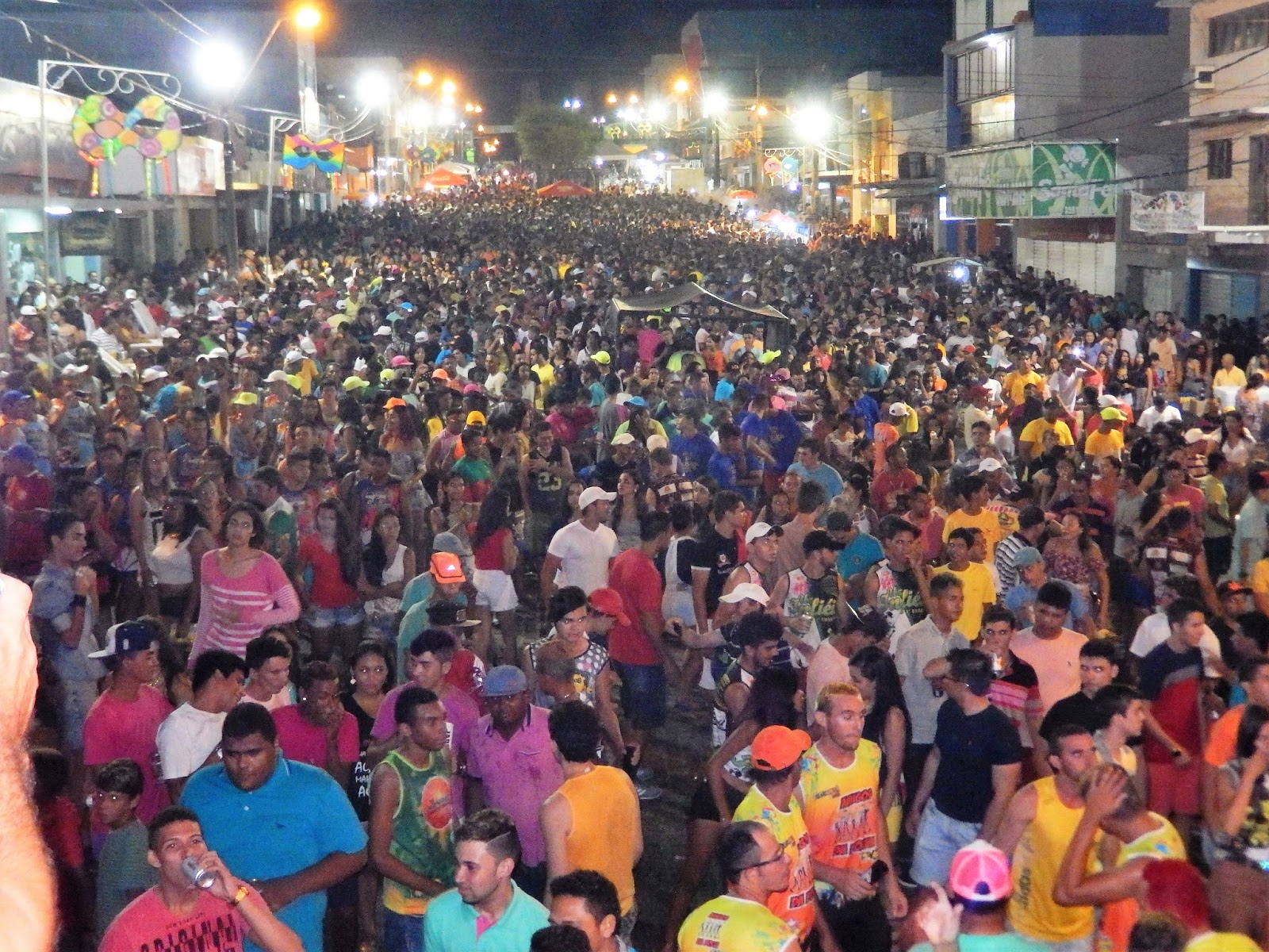 Resultado de imagem para fotos do carnaval de sao paulo do potengi